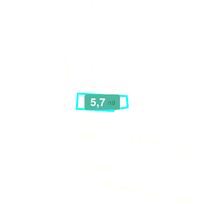 Mobiscore