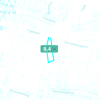 Mobiscore