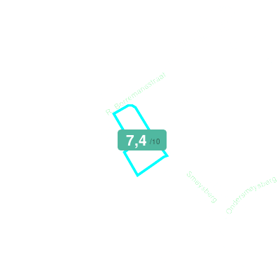 Mobiscore