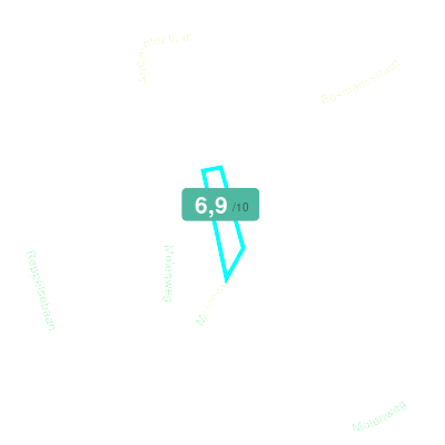 Mobiscore