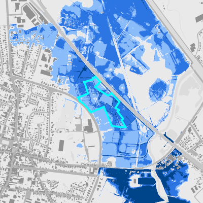 Overstromingsgevoelig (fluviaal)