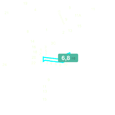 Mobiscore