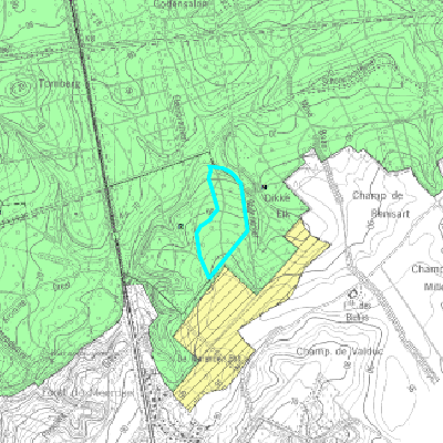Gewestplan