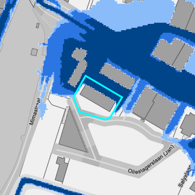 Overstromingsgevoelig (pluviaal)