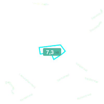 Mobiscore