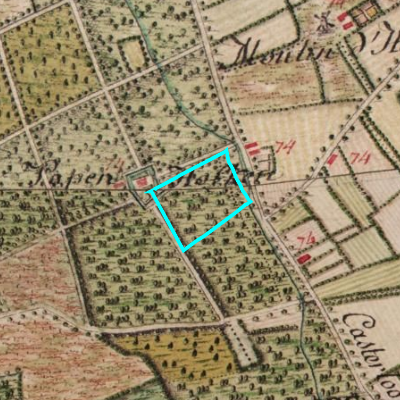 Ferraris (1771-1778)