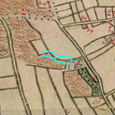 Ferraris (1771-1778)