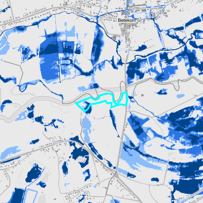 Overstromingsgevoelig (pluviaal)
