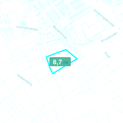 Mobiscore