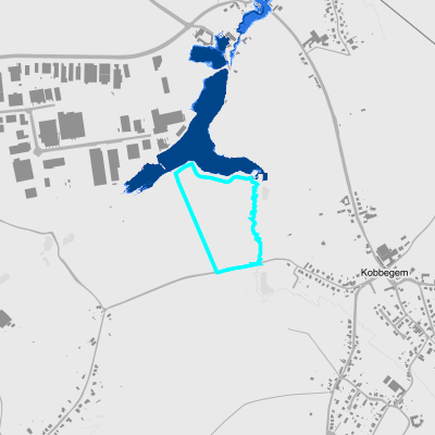 Overstromingsgevoelig (fluviaal)