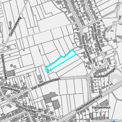 Overstromingsgevoelig (fluviaal)