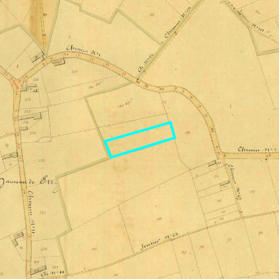 Algemeen Bodemgebruik (ABW)