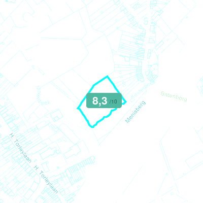 Mobiscore