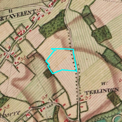 Ferraris (1771-1778)