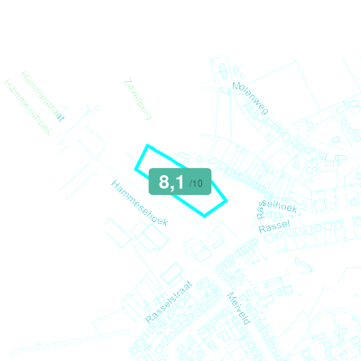 Mobiscore