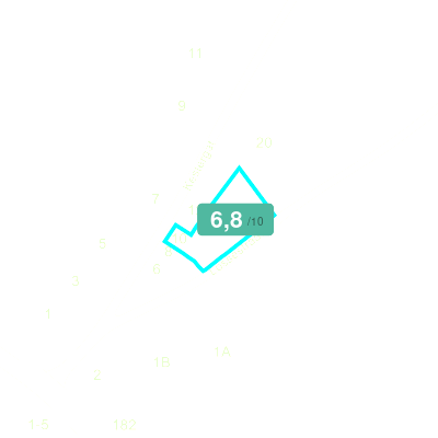Mobiscore