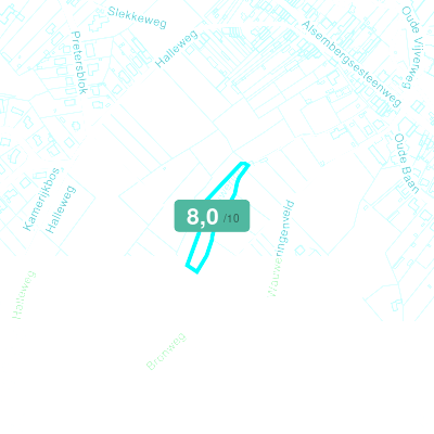 Mobiscore