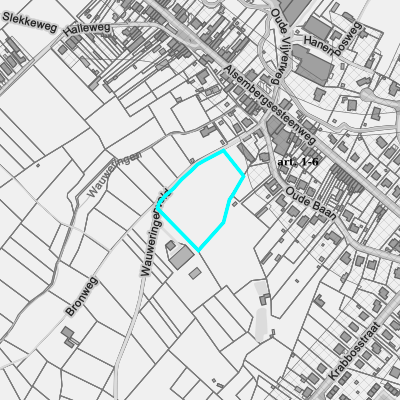 Ruimtelijke uitvoeringsplannen (RUP)
