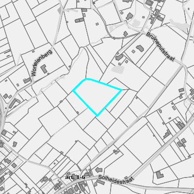 Ruimtelijke uitvoeringsplannen (RUP)