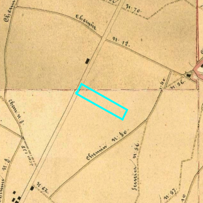 Algemeen Bodemgebruik (ABW)