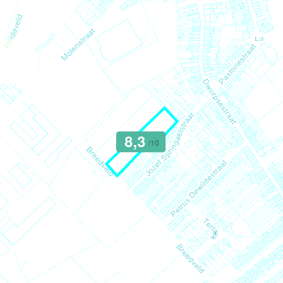 Mobiscore