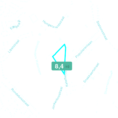 Mobiscore