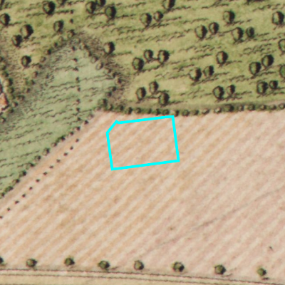 Ferraris (1771-1778)