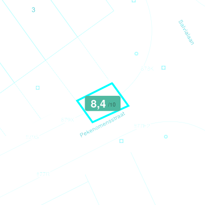 Mobiscore