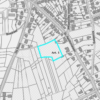 Ruimtelijke uitvoeringsplannen (RUP)