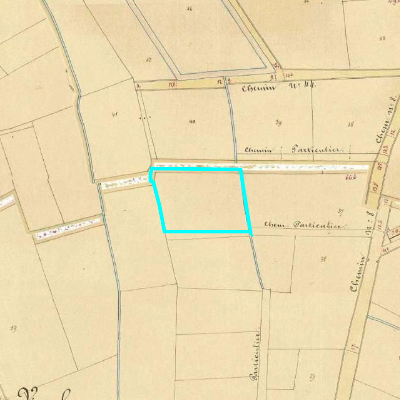 Algemeen Bodemgebruik (ABW)
