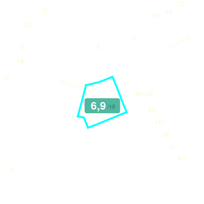 Mobiscore