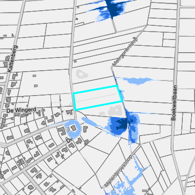Overstromingsgevoelig (pluviaal)
