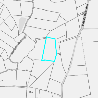 Ruimtelijke uitvoeringsplannen (RUP)