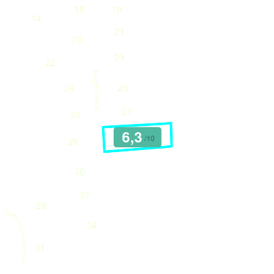Mobiscore