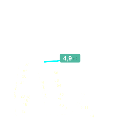 Mobiscore