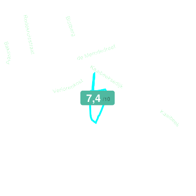 Mobiscore