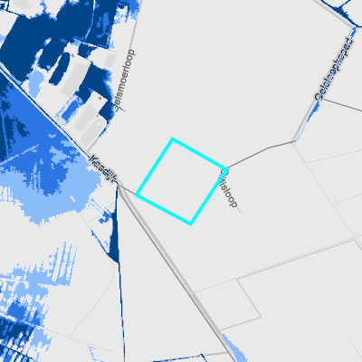 Overstromingsgevoelig (pluviaal)