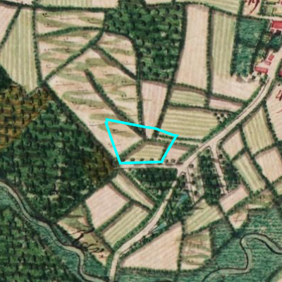 Ferraris (1771-1778)
