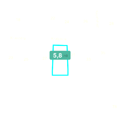 Mobiscore