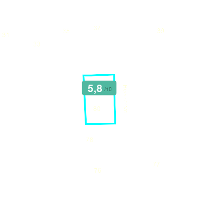 Mobiscore