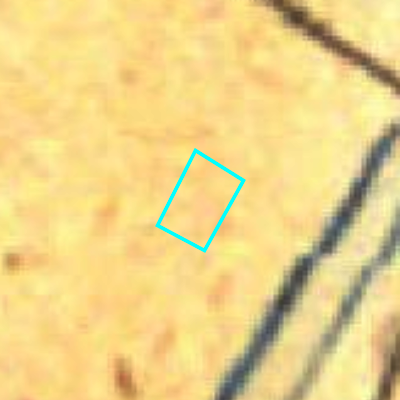 Algemeen Bodemgebruik (ABW)