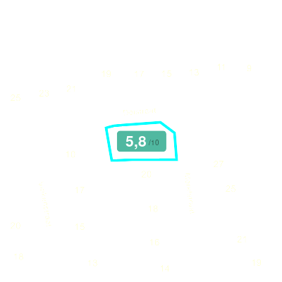 Mobiscore