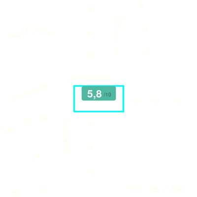 Mobiscore