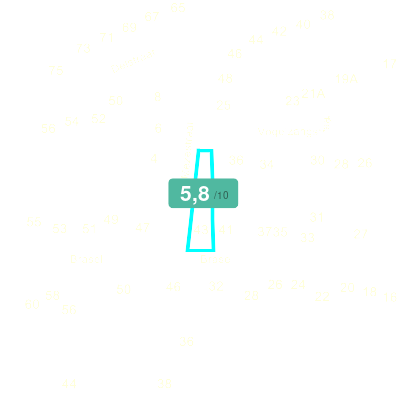 Mobiscore