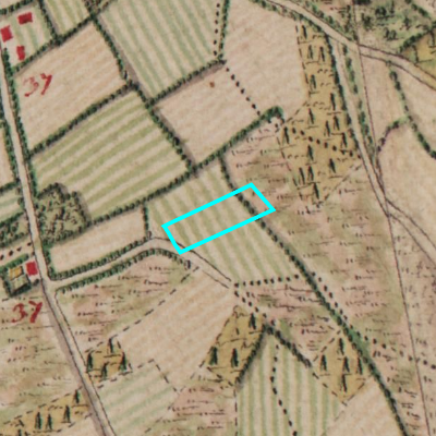 Ferraris (1771-1778)