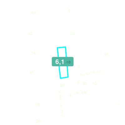 Mobiscore