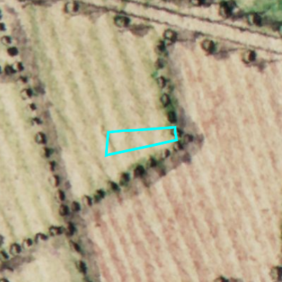 Ferraris (1771-1778)