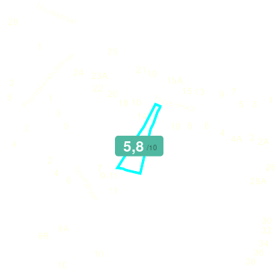 Mobiscore