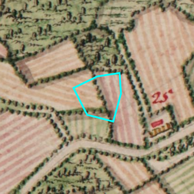 Ferraris (1771-1778)