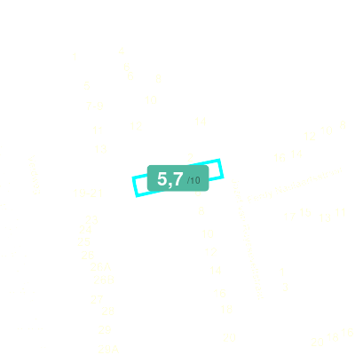 Mobiscore